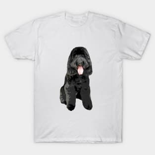 Cockapoo Cockerpoo Black Cutie Doodle Dog T-Shirt